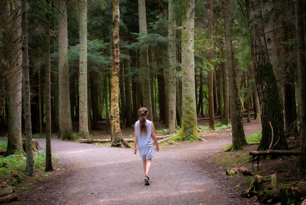 girl, forest, path-5819947.jpg